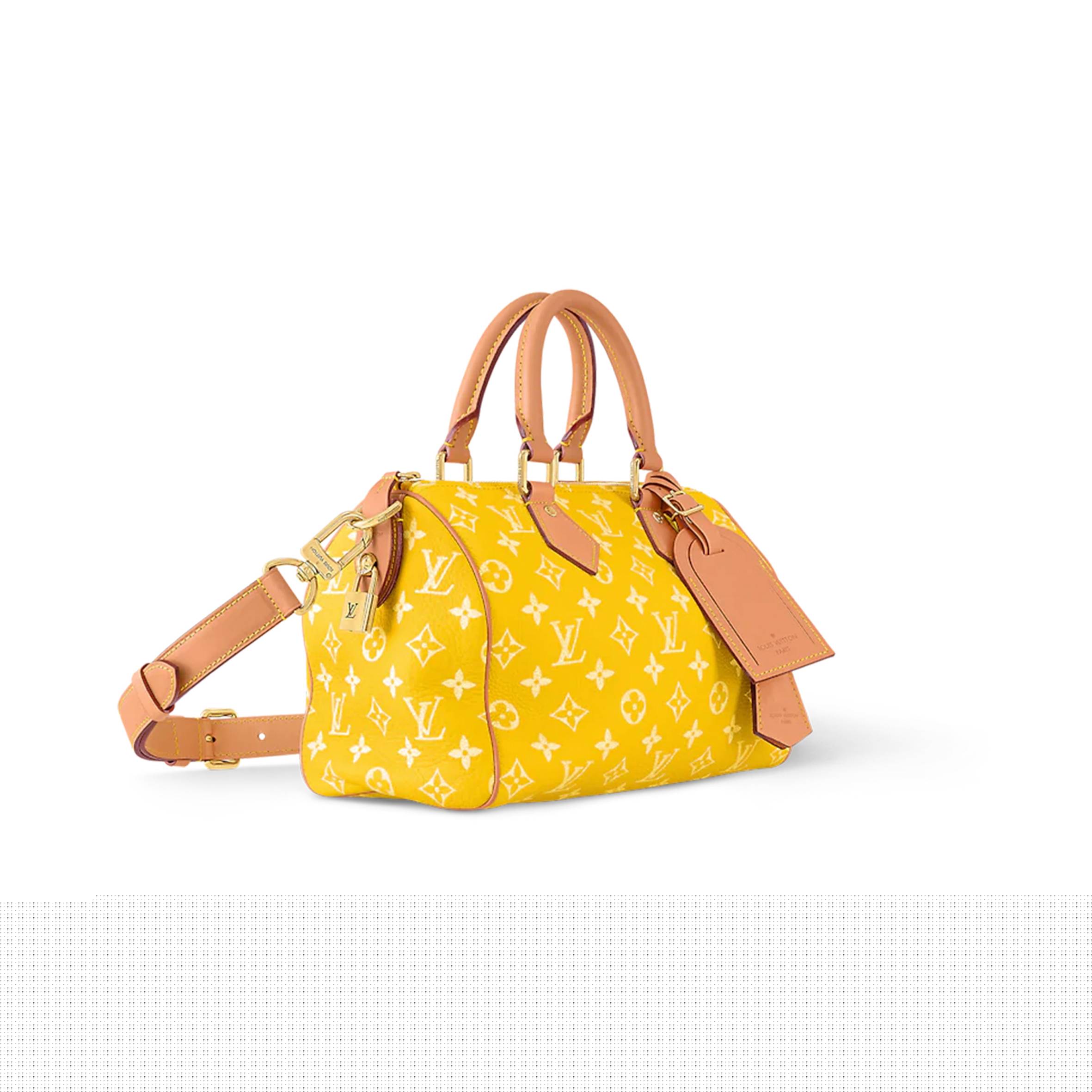 LOUIS VUITTON MASTER SPEEDY P9 BANDOULIÈRE 25 M24426 (25*15*15cm)
